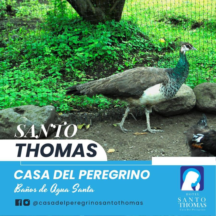 Hotel Casa del Peregrino Santo Thomas Baños Exterior foto